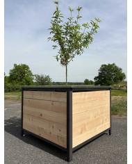 ARBOCYCLE composteur pour Biodéchets  - 9