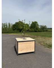 ARBOCYCLE composteur pour Biodéchets  - 11