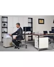 Destructeur efficace pour les tâches de gestion de documents Destructeur efficace pour les tâches de gestion de documents