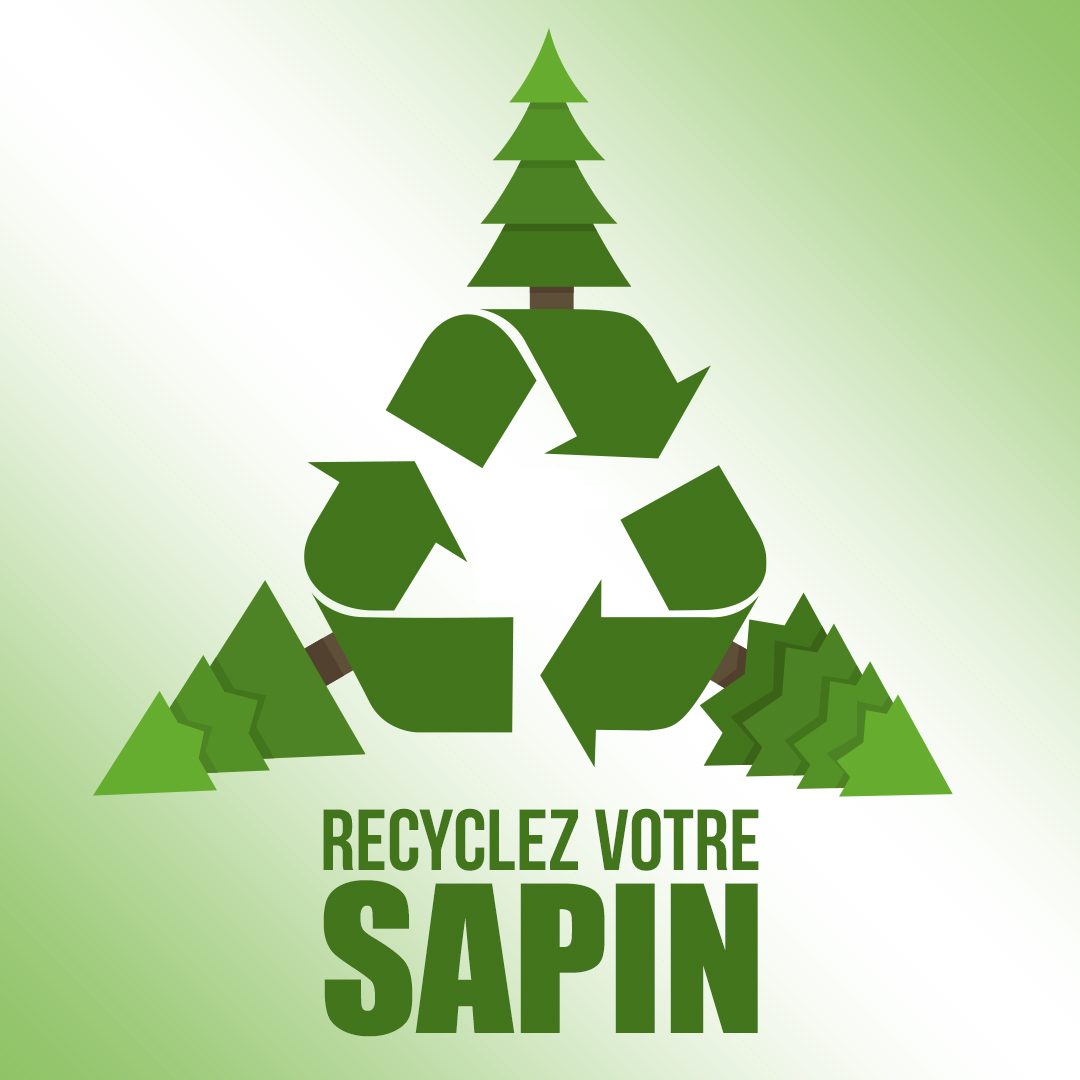 recycler sapin de noel